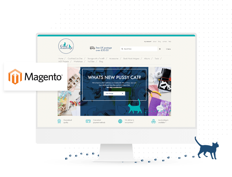 Magento Agency